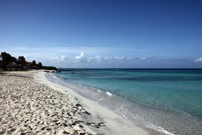 Beach Aruba Sand Beach Sea Holiday South S