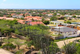 Houses Cacti Aruba Horizon Vacation Aruba