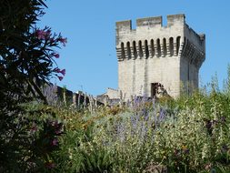 Avignon, France, Provence, Historically