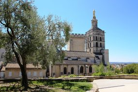Avignon, Pope, Palais Des Papes, France