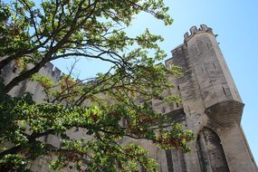 Avignon, Pope, Palais Des Papes, France