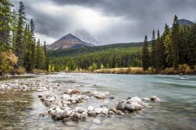 Canada River Banff Forest Water National P