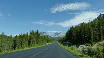 Icefield Parkway Canada Banff Jasper Natur