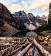 Banff National Park, Canada, Deadwood