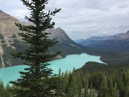 Peyto Lake Canada La Lake Alberta Park Pey