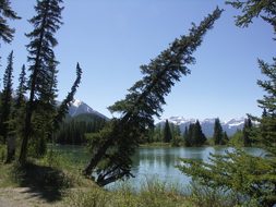 Canada, Banff, National Park, Nature