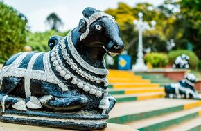 Bull Statue Figure Shrine Nandi Park India