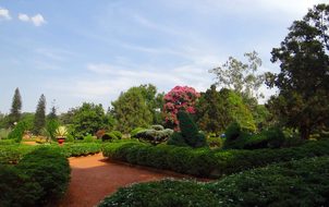 Botanical Garden, Lal Bagh, Park, Garden