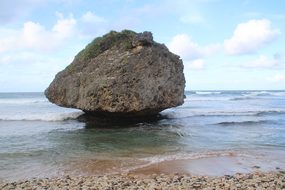 Beach, Barbados, Nature, Rock