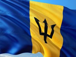 International, Flag, Barbados
