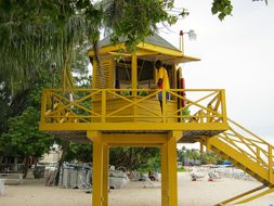 Lifeguard Tower Barbados Beach Lifeguard B