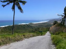 Road, Beach, Tropical, Vacation, Travel