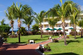 Caribbean Holiday Hotel Outdoor Palms Barb