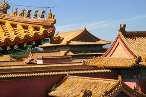 Roof China Dragon Forbidden City Architect