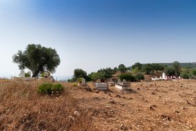 Cemetery, Bejaia, Algeria, Islam, Muslim