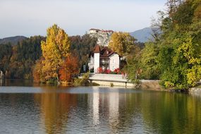 Autumn, Nature, Tree, Lake, Blue Sky