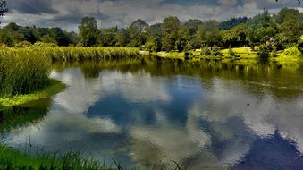 Landscape, Hdr, Horizon, Wetland