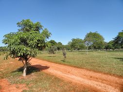 Brasilia, Brazil, Landscape, Scenic, Sky