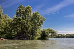 Danube, Slovakia, Nature, River