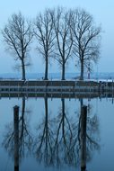 Lake Constance, Bregenz, Winter, Port