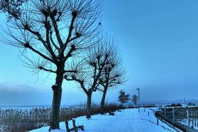 Lake Constance, Bregenz, Winter, Port