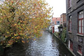 Belgium, Brugge, Autumn, Canal, Tourism