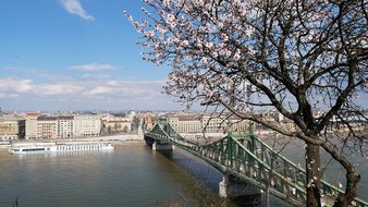 Bridge, Budapest, Hungary, Ungarn