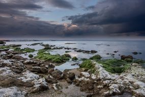 Sea, Stones, Beach, Nature, Water, Blue