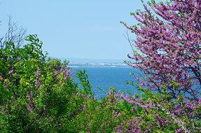 Bulgaria, Sea, Burgas, Sarafovo