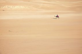Sand, Camel, Desert, Cairo, Egypt