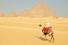 Sphinx Egypt Hieroglyphs Temple Pierre His