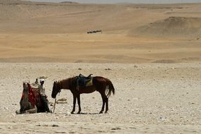 Cairo Egypt Egyptian Desert Travel Sand Ca