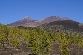 Teide National Park, National Park, Rock