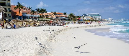 Cancun Mexico Beach Birds Waves Tropical V