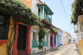 Cartagena Colombia Street Flower Colorful