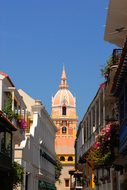 Cathedral Dome Cartagena Colombia Church F
