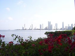 Cartagena, Colombia, Beach, Caribbean