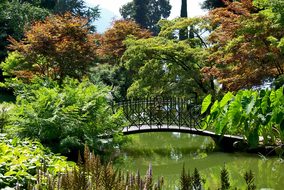 Italy, Bellagio, Como, Park, Garden