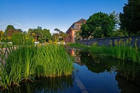 Orangery, Architecture, Spring, Flowers