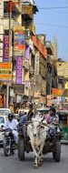 Street Life, Street, Old, Delhi, City