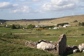Wild Donegal, Ireland, Donegal, Scenic