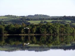 Ireland Lake Wildlife Birds Sky Green Trav
