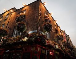 Temple Bar, Bar, Dublin, Ireland
