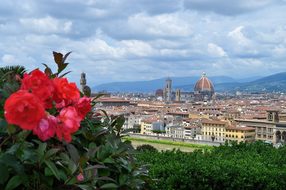 Florence Firenze Italy Florence Florence F