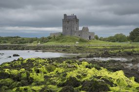 Dunguaire Castle, Co Galway, Castle