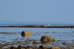 Beach, Sea, Water, Sail, Yacht, Peace