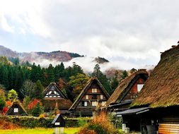 Heritage, Japan, Gifu, Countryside