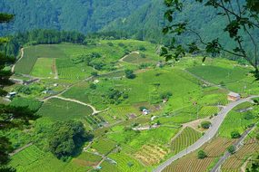 Japan Prefecture Side Green Field Gifu Sky
