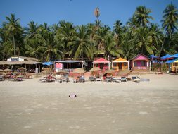 Sand Goa Shack India Beach Coastline Tropi