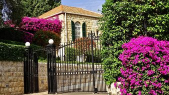 Israel Haifa Building Flowers Israel Israe